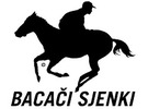 Main bacaci sjenki logo
